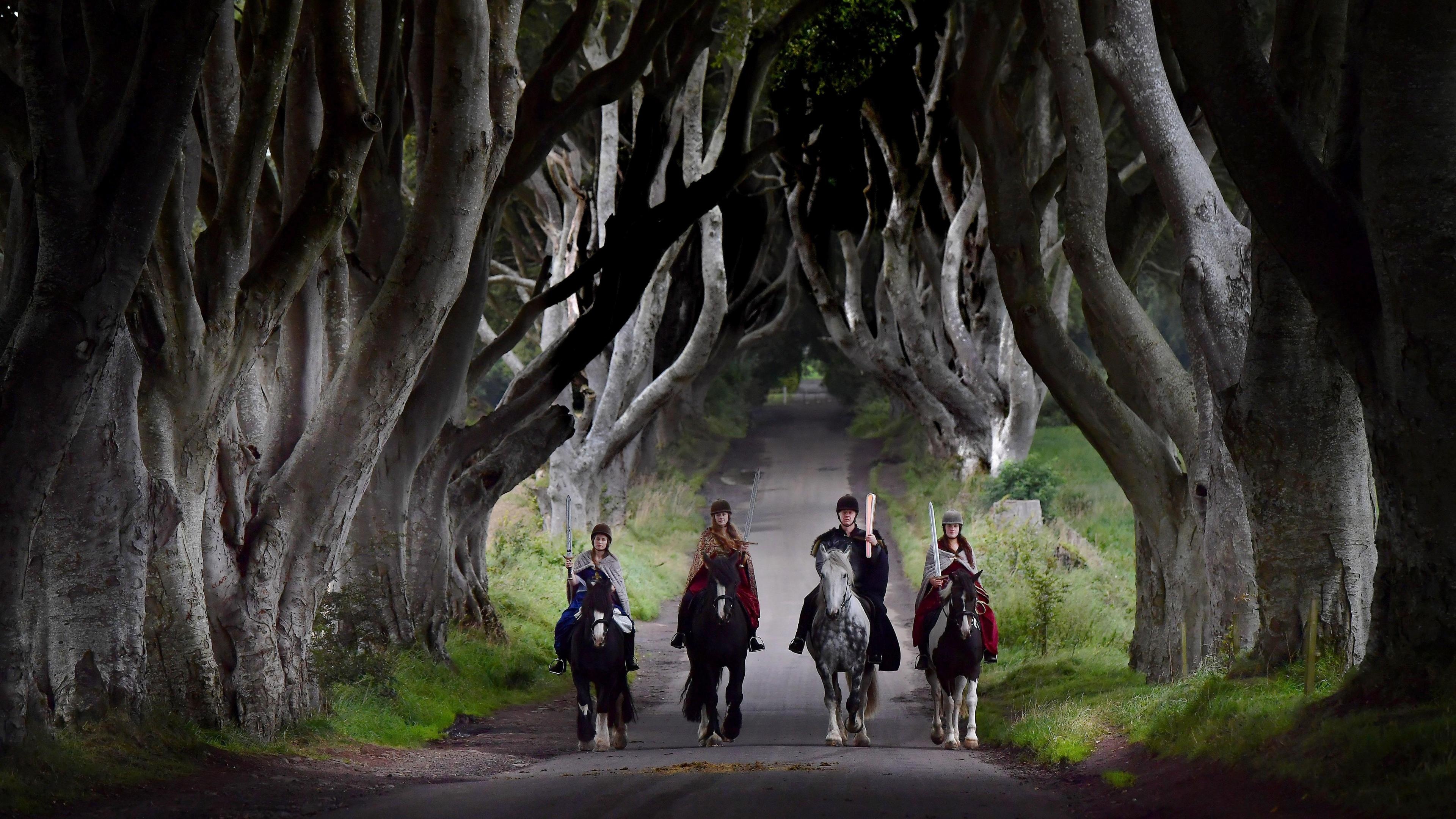 Dark Hedges Photography Guide: Best Times, Settings & Visitor Tips